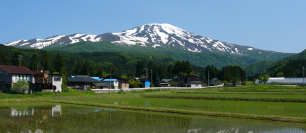 ���C�R�i�ʐ^�񋟁F�R�`����c�s�j 