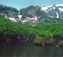 �ߊԒr�i�ʐ^�񋟁F�R�`����c�s�j