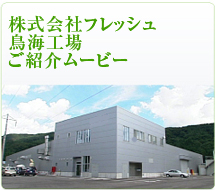 ������Ѓt���b�V�����C�H�� ���Љ�[�r�[